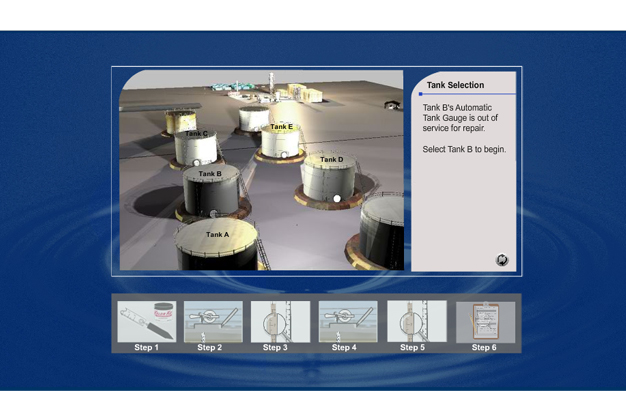 Interactive Tank Gauging (FLASH)